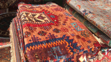 تصویر نمایش قالین‌های دست‌باف وطنی در کنار محصولات زراعتی و مالداری؛ نمایشگاه وزارت زراعت در بادام‌باغ کابل 