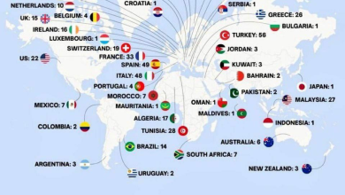تصویر کاروان جهانی استقامت (ناوگان جهانی صمود): آمار و ارقام از بزرگ‌ترین مأموریت دریایی به غزه 