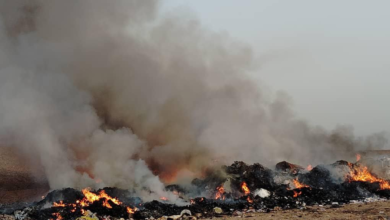 تصویر بیش از ۶۰ تُن دوا و مواد تاریخ‌گذشته در هرات حریق شد