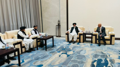 تصویر دیدار وزیر صنعت و تجارت با مقامات بین‌المللی برای توسعه همکاری‌های اقتصادی 