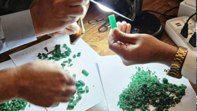 تصویر فروش ۸۶۲۸ قیراط زمرد پنجشیر به ارزش ۴۷۵ هزار دالر در داوطلبی شفاف 