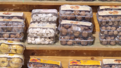 Photo of 33rd Agricultural and Livestock Products Exhibition Opens in Kabul