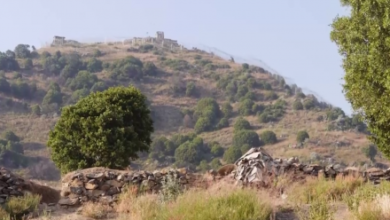 Photo of Analysts: ISIS Training Centers Located in Pakistan