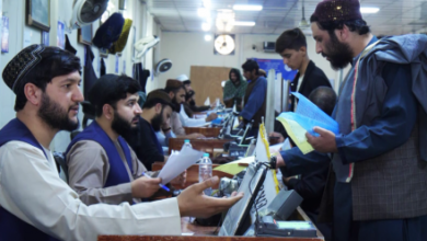 Photo of Nearly 600,000 Passports Issued in Past Six Months, Says Passport Office