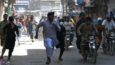 Photo of Islamic Emirate condemns Pakistani army for opening fire on TLP protesters