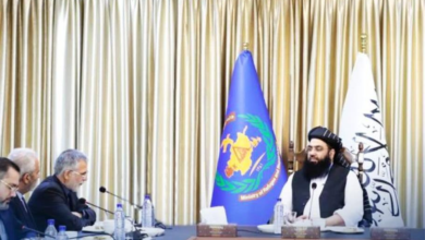 تصویر ایران از صدور ۲۰۰ هزار ویزای کاری برای افغان‌ها خبر داد