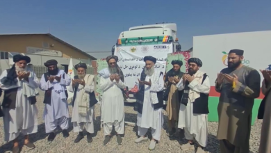 Photo of Afghan firm starts exporting pomegranates to Russia via Torghundi