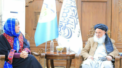 تصویر دیدار وزیر اقتصاد با هیئت سازمان مرسی کورپس؛ تأکید بر همکاری‌های اقتصادی و بشردوستانه 