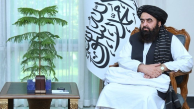 تصویر وزیر امور خارجه: اقدامات مهمی در مبارزه با مواد مخدر و حمایت از سکتور خصوصی انجام شده است 