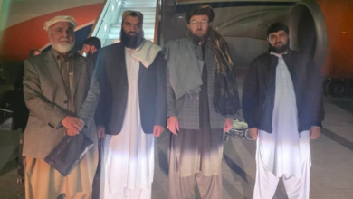 تصویر وزیر زراعت، آبیاری و مالداری به مسکو رفت