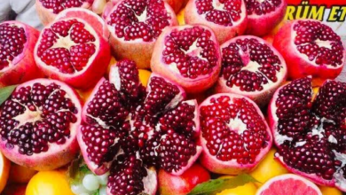 تصویر جهش بی‌سابقه صادرات انار کندهار؛ افزایش ۲۱۴ درصدی در یک سال