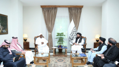 تصویر مولوی امیرخان متقی با نماینده ویژه سازمان همکاری اسلامی برای افغانستان دیدار کرد