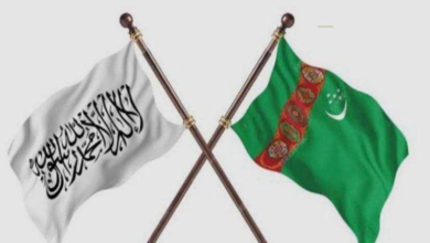 تصویر جنرال قنسول ترکمنستان: تلاش می‌کنیم میوه‌های تازه و خشک افغانستان را به بازارهای منطقه انتقال و زمینه انتقال دارو و سمنت را بهاین کشور فراهم کنیم 