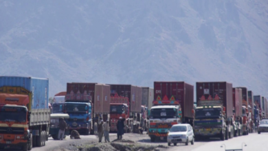 Photo of Afghanistan’s Monthly Exports Rise by $40M Despite Trade Challenges