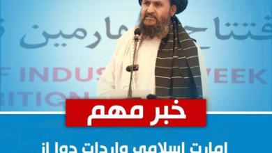 تصویر امارت اسلامی واردات دوا از پاکستان را ممنوع اعلام کرد