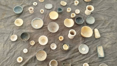 تصویر کشف و ضبط ۴۸ قلم اثر تاریخی در مسیر شاهراه زرنج-دلارام 