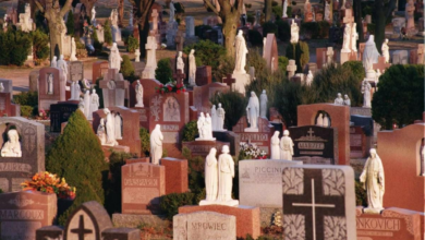 Photo of Toronto cemetery theft wave: More than 300 cases in past few months