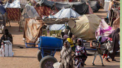 تصویر هشدار سازمان ملل: قحطی حاد در دو شهر سودان تا جنوری ۲۰۲۶ 