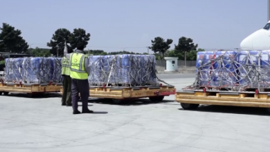 Photo of Afghanistan-China Trade Hits $745 Million in Nine Months