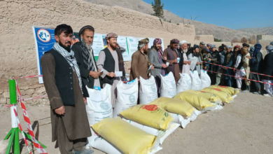 تصویر توزیع کمک‌های زراعتی برای ۴۴۵ دهقان در ولسوالی کشنده بلخ 