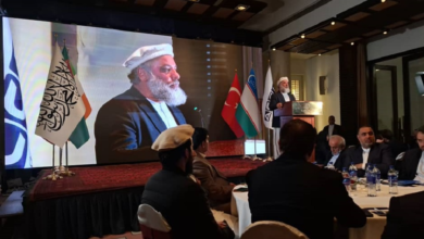 Photo of Afghanistan offers wide investment opportunities in agriculture, mining, and industry