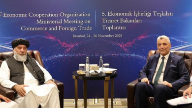 تصویر وزیر صنعت و تجارت افغانستان از وزیر تجارت ترکیه برای سفر به افغانستان دعوت کرد