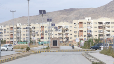 Photo of Identification of Nine State-Owned Townships in Four Provinces