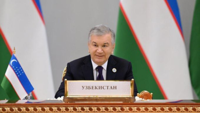 تصویر رییس جمهور اوزبیکستان: ادغام افغانستان در پروژه های بزرگ باید در محور سیاست های منطقه‌ای باشد
