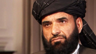 تصویر محمد سهیل شاهین با نمایندگان ویژه بریتانیا و سرمنشی سازمان ملل در امور کودکان دیدار کرد 