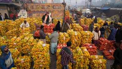 Photo of Pakistan’s citrus export crisis deepens amid ongoing Afghanistan trade route closure