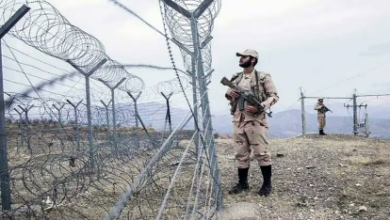 Photo of 10 Afghans killed in Farah border shooting by Iranian forces