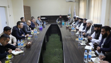 تصویر کابل و تاشکند پیرامون تقویت همکاری‌ها گفت‌وگو کردند