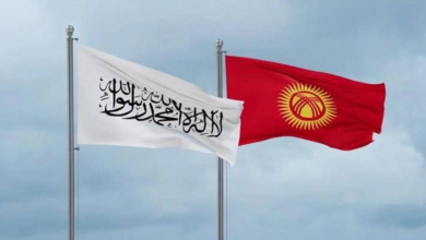 تصویر قرقیزستان در بخش حکومتداری الکترونیکی با افغانستان همکاری می‌کند