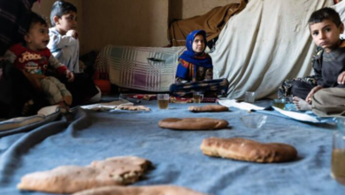 Photo of WFP slashes aid by 80% as Afghanistan’s hunger crisis worsens