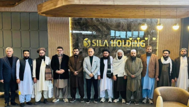 تصویر هیأت وزارت صحت عامه با مسوولان یک شرکت ترکی در انقره دیدار کرد