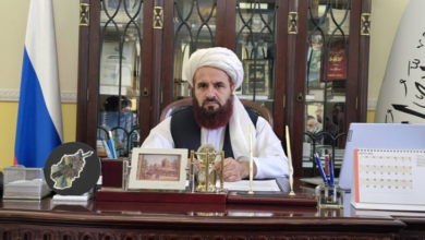 تصویر پوتین اعتبارنامه سفیر امارت اسلامی افغانستان در روسیه را دریافت می‌کند