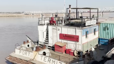 Photo of Trade Through Hairatan Port Rises After Closure of Pakistan Routes