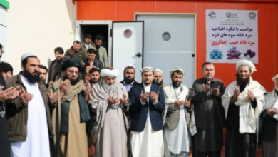 تصویر بهره‌برداری از بزرگ‌ترین سردخانه میوه در ده‌سبز کابل با سرمایه‌گذاری ۳۰ میلیون دالر