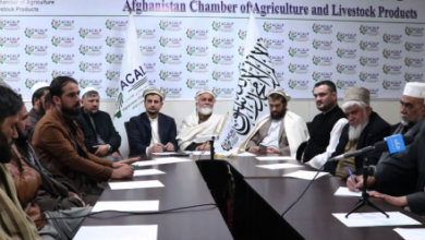 Photo of Task Force Formed to Boost Afghanistan’s Dried Fruit Exports