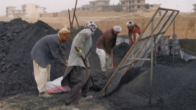 تصویر آغاز توزیع زغال‌سنگ ارزان در سمنگان برای جلوگیری از افزایش قیمت‌ها