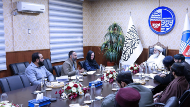 تصویر دیدار رییس اداره ملی آمادگی مبارزه با حوادث با مسوول شورای مهاجران دنمارک