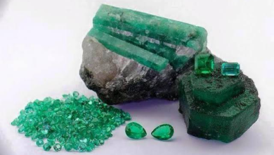 تصویر فروش ۳۸۳۵ قیراط زمرد استخراج‌شده از معادن پنجشیر به ارزش بیش از ۹۰۰ هزار دالر