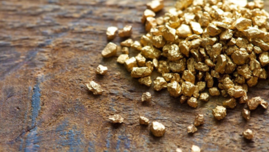 Photo of Afghanistan sends gold to Uzbekistan for processing