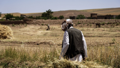Photo of FAO warns of dry winter, low snowfall and rising food insecurity risks in Afghanistan