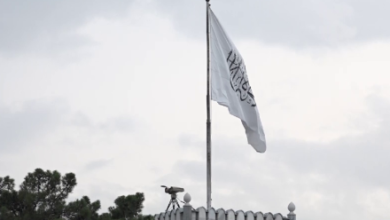 Photo of Islamic Emirate Recalls 13 Diplomats from Germany, Plans New Appointments