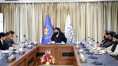 تصویر دیدار وزیر مهاجران افغانستان با سفیر جدید جاپان؛ تصویب کمک ۱۹.۵ میلیون دالری توکیو