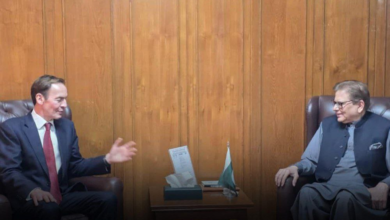 تصویر نمایندگان بریتانیا و پاکستان برای افغانستان درباره امنیت منطقه گفت‌وگو کردند