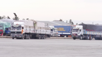 Photo of Afghanistan Exports Over 317,000 Tons of Fresh Fruit in 2025