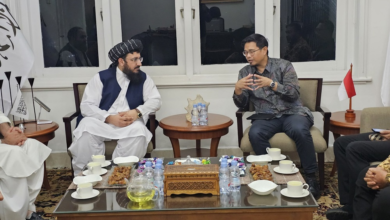 Photo of Afghanistan and Indonesia call for expanding bilateral cooperation