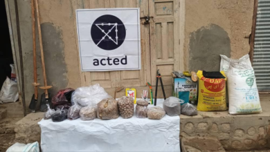 تصویر احداث قوریه نهال در ولسوالی زاری بلخ با همکاری ACTED